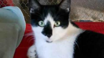 Bild von Boo