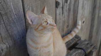 Neila Bild von Neila