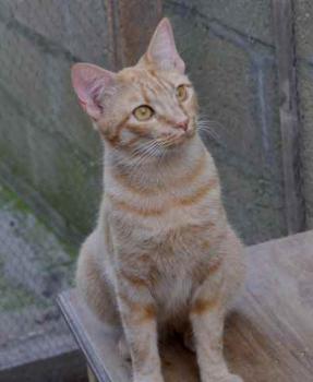 Neila Bild von Neila
