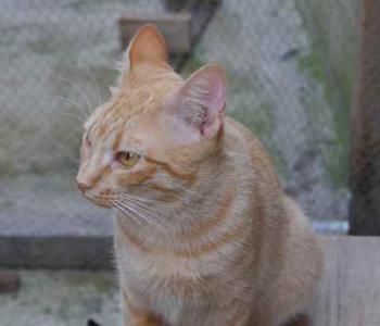 Neila Bild von Neila