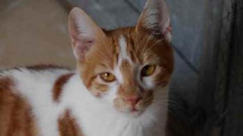 Bild von Yves