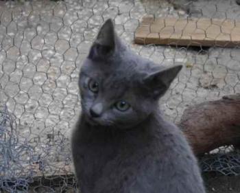 Bild von Natali