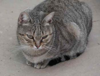 Bild von Inga