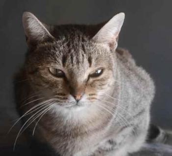 Bild von Inga