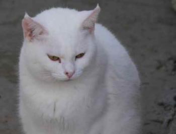 Nieves Bild von Nieves