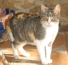 Nora Bild von Nora