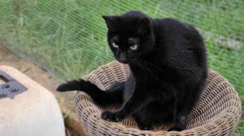 Coddy Bild von Coddy