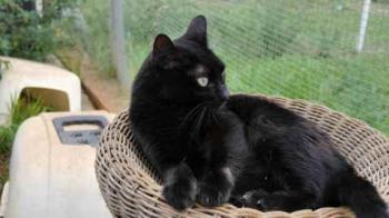Coddy Bild von Coddy