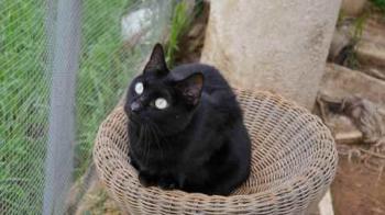 Coddy Bild von Coddy