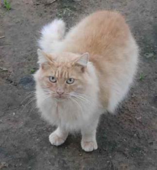 Nanuk Bild von Nanuk