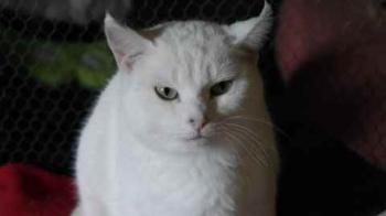 Nieves Bild von Nieves
