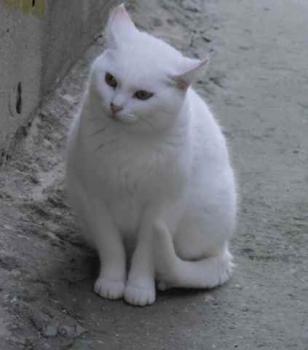 Nieves Bild von Nieves