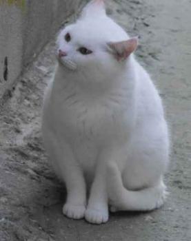 Nieves Bild von Nieves