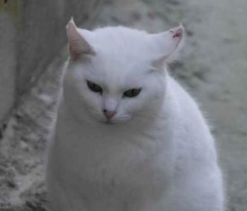 Nieves Bild von Nieves