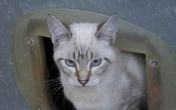 Bild von Frodo