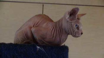 Jony Bild von Jony