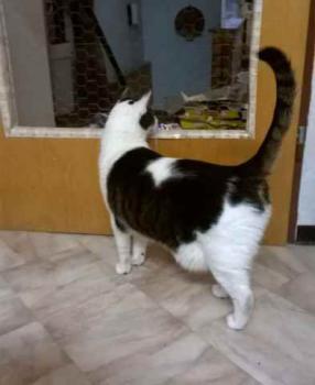 Taramis Bild von Taramis