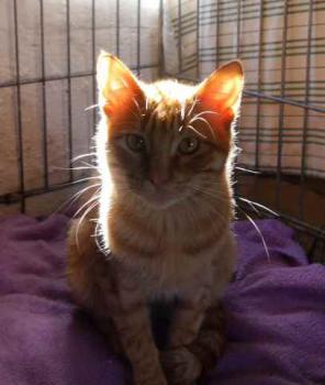 Banjit Bild von Banjit