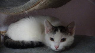 Josi Bild von Josi