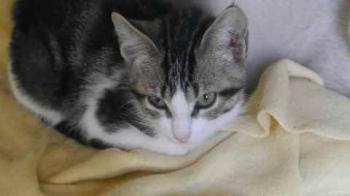 Bild von Cherie