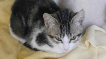 Bild von Cherie