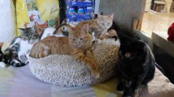 Bild von Cherie