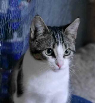 Bild von Cherie