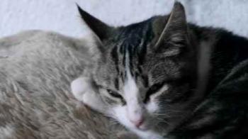 Bild von Cherie