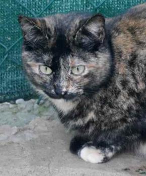 Sanya Bild von Sanya