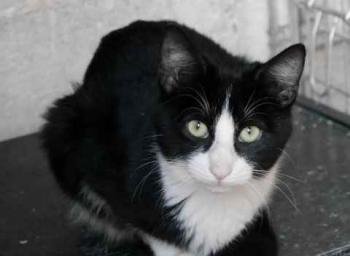 Dayo Bild von Dayo