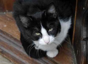 Dayo Bild von Dayo