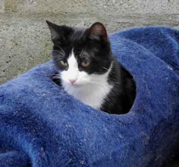 Dayo Bild von Dayo