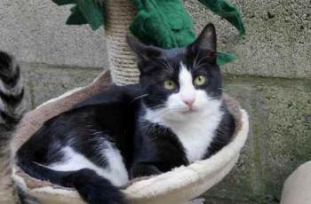 Dayo Bild von Dayo