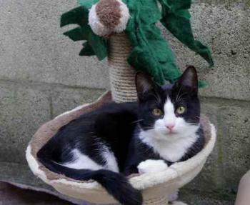 Dayo Bild von Dayo