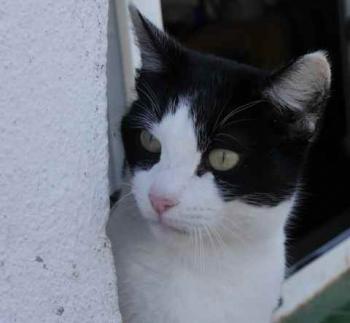 Fenja Bild von Fenja