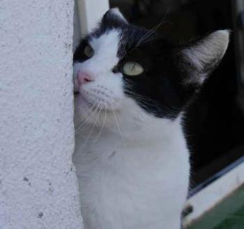 Fenja Bild von Fenja