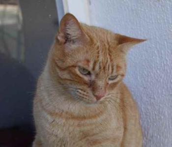 Ramiro Bild von Ramiro