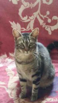 Trass Bild von Trass