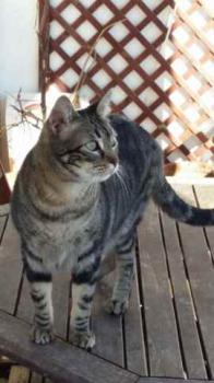 Trass Bild von Trass