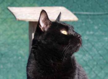 Miki Bild von Miki