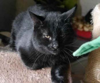 Bild von Coco