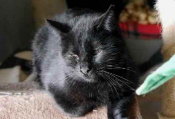 Bild von Coco