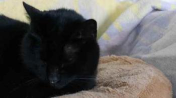 Coddy Bild von Coddy