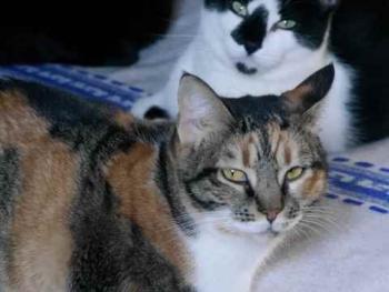 Marie Bild von Marie