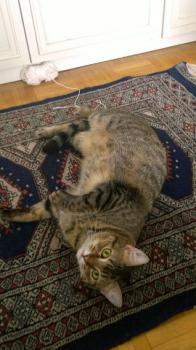 Yuki Bild von Yuki
