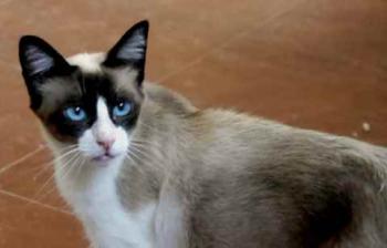 Cilia Bild von Cilia