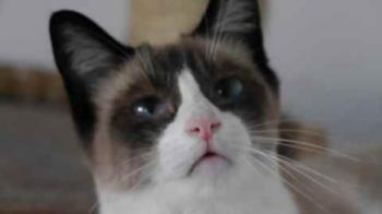 Cilia Bild von Cilia