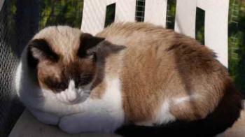 Cilia Bild von Cilia