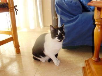 Isa Bild von Dover