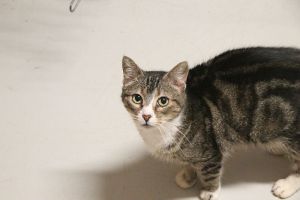 Corina Bild von Corina